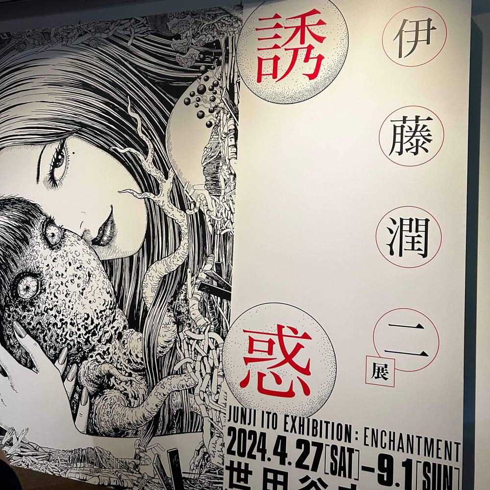 展示の写真