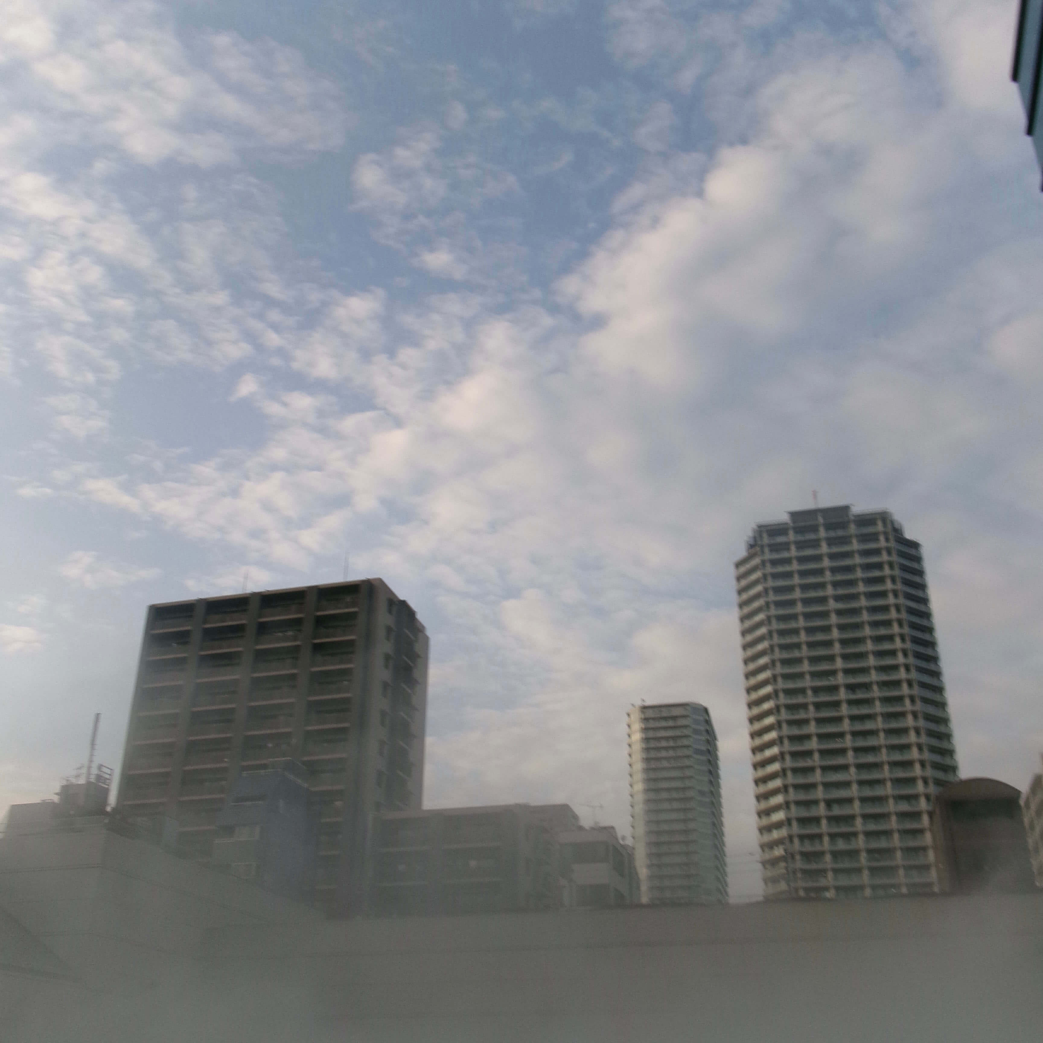 霧の写真